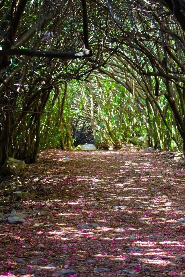 Hostal Rural De Cuadros Bedmar y Garciez 外观 照片