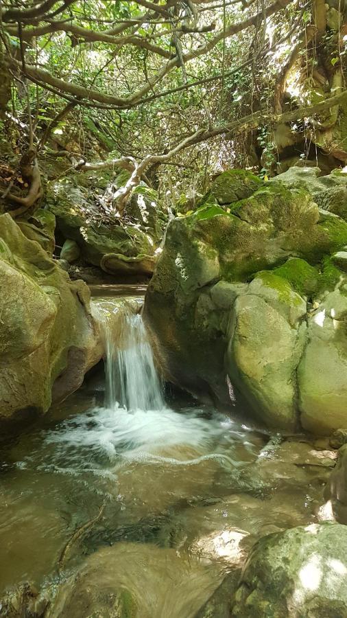 Hostal Rural De Cuadros Bedmar y Garciez 外观 照片