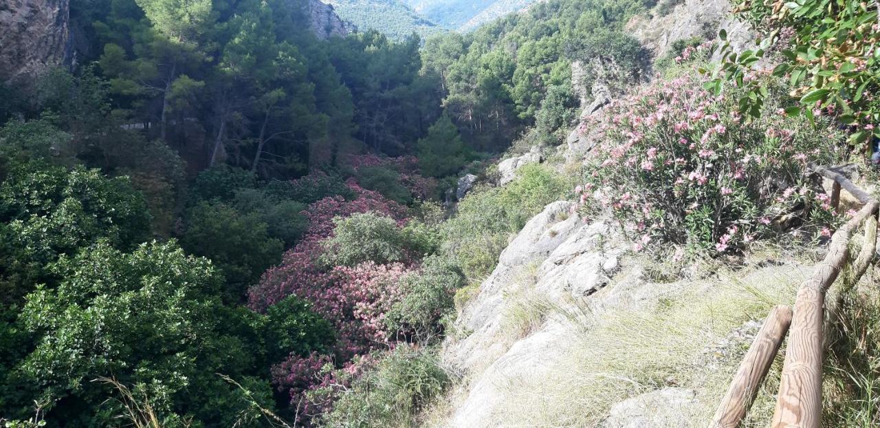 Hostal Rural De Cuadros Bedmar y Garciez 外观 照片