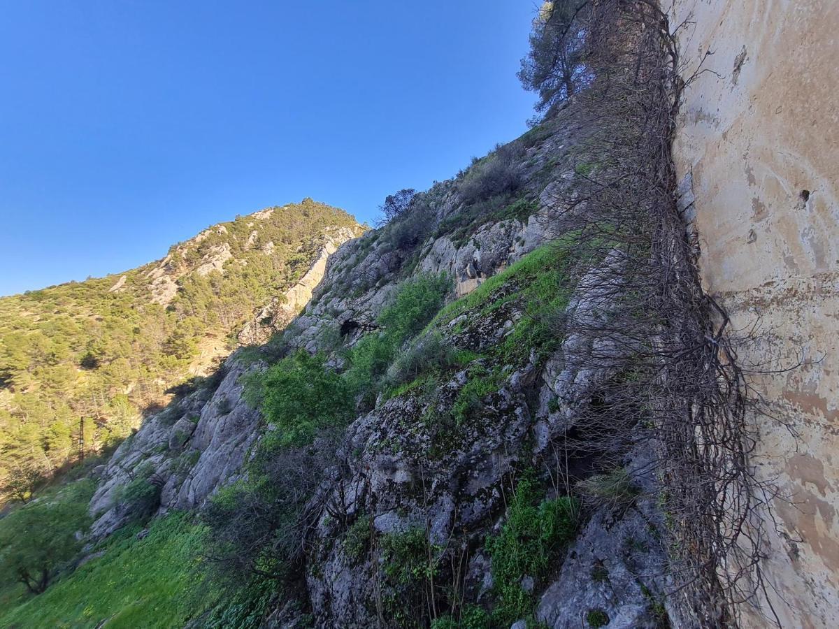 Hostal Rural De Cuadros Bedmar y Garciez 外观 照片